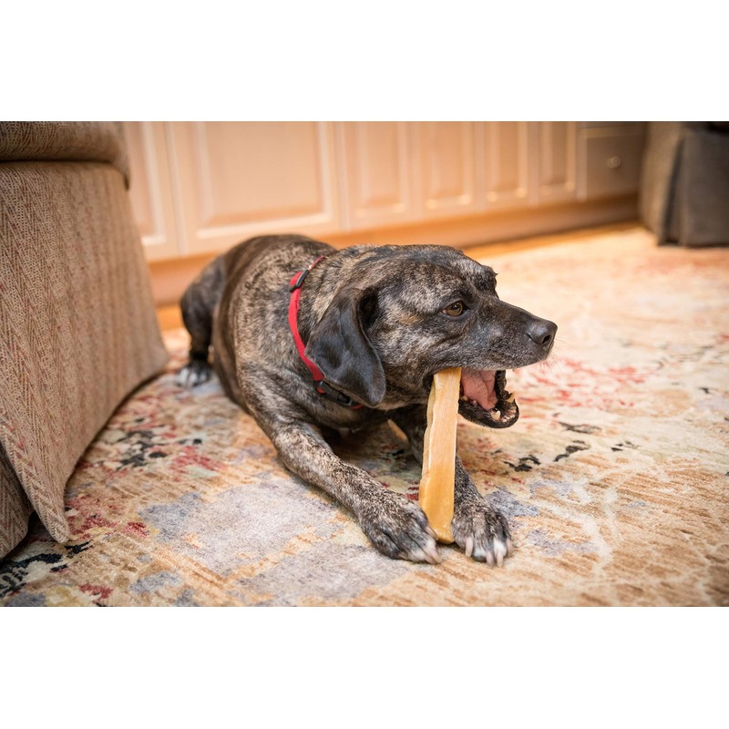 The safest All-Natural Cheese Chews - XLarge (Pack of 3)