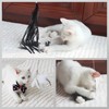 SONGWAY Cat Wand Toys for Indoor Cats - Cat Feather