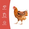 Chicken Saddle for Hens, 7.48 Inch Polyester Chicken Aprons with