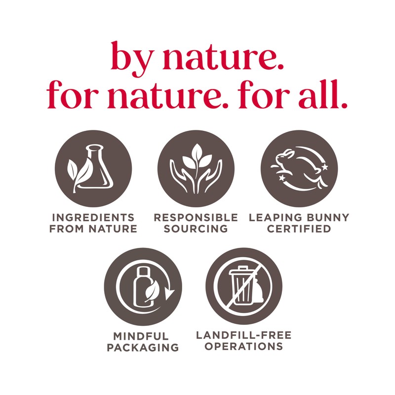 Burt's Bees 100% Natural Origin Moisturizing Tinted Lip Balm, Daisy