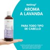 NATSHOP | Kit 3 Shampoos Naturales de Lavanda y Vitamina