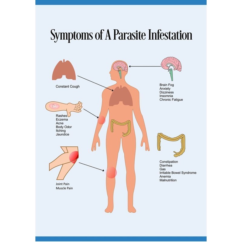 120 parasite and candida cleanse - ANTI-GRAY HAIR - ANTI-PARASITE