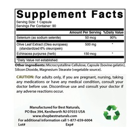 Best Naturals Olive Leaf Extract, 700 Mg, 90 Capsules - Pack of 3