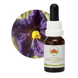 Wild Potato Bush 15 ml Stockbottle Australian Bush Flower Essences