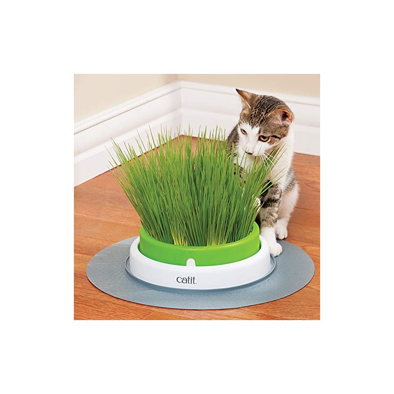 Catit CATT11 Planter Grass Refill,