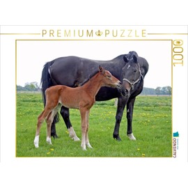 CALVENDO Puzzle Mother Love - Foal and Mother Mare 1000 Pieces Laying Size 64 x 48 cm Photo Puzzle Picture by Barbara Mielewczyk