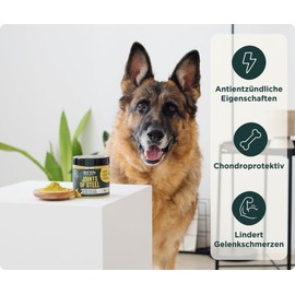 Wolf Belly - Green-lipped Mussel for Dogs and Cats, 100% Natural (180 g) with MSM Powder Against Osteoarthritis, Strong Joints, Anti-Inflammatory with Collagen, Veterinary Formula, Made in Europe