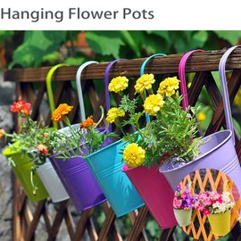 XRR Hanging Planters, 10 Pack 6.3" x 4.7" x 5.3" Removable Hanging Flower Pot Hook Metal Bucket for Railing Fence Balcony Garden Suitable for Indoor and Outdoor(10 Colors 10 Pieces)