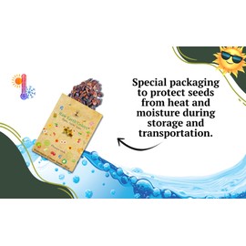 Crimson Sweet Watermelon Seeds for Planting - Premium Heirloom Seeds Packet!