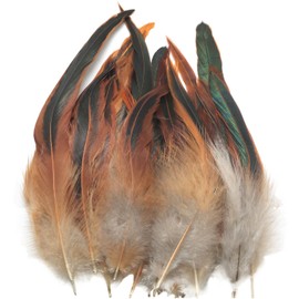 LUORNG 50PCS Natural Rooster Tail Feathers DIY Accessories Feathers for Hat Clothing Decoration Used for Headpieces Lapel Flowers Hats Shoes Crafts Length Approx Black Green