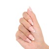 Press On Nails - White French Tip Press on Nails
