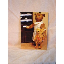 Steiff - Steiff  Mama and Baby Teddy Bears Postcard