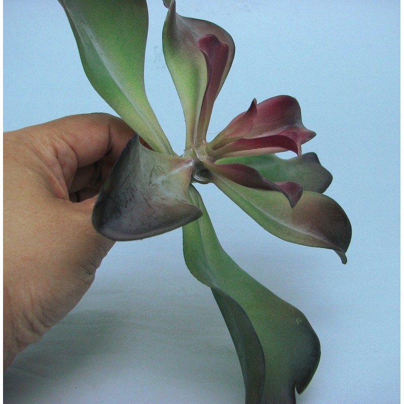 Maruwa Boeki Fake Plants D 400796100