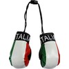 Italy - Novelty Mini Boxing Gloves with Black Snap Connection