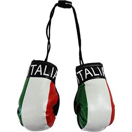 Italy - Novelty Mini Boxing Gloves with Black Snap Connection