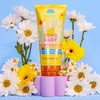 Tree Hut Dewy Daisy Moisturizing Body Lotion, Ceramide and Squalene