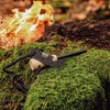 BUSCHFEUER Fire Steel Outdoor Bushcraft - Flint Fire Starter for