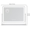 HIEEY Vanity Mirror with Lights, Makeup Mirror with Lights, Three