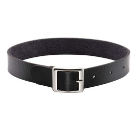 Eigso Gothic Retro Style Multicoloured Soft PU Leather Collar with Clasp for Men and Women, Metal, No Gemstone