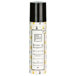 AU POIL La Brume de Propreté Freshness of Musk for Beard and Hair by Sébastien Chabal