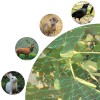 Bird Netting for Garden Garden Netting Pest Barrier,Cicada Netting Protect