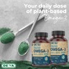 DEVA Vegan Vitamins Vegan DHA (Algae) 200mg Vegan Softgels, 90-Count