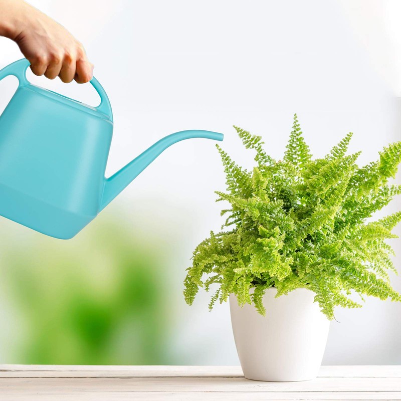 Fasmov Plastic Watering Can, Bright Blue, 1-Gallon