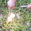 bayite 1/2 x 6 Inch Survival Drilled Flint Steel Fire