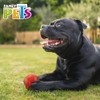 Fancy Pets Xtreme Juguete Bola para Perro Tamaño Mediana