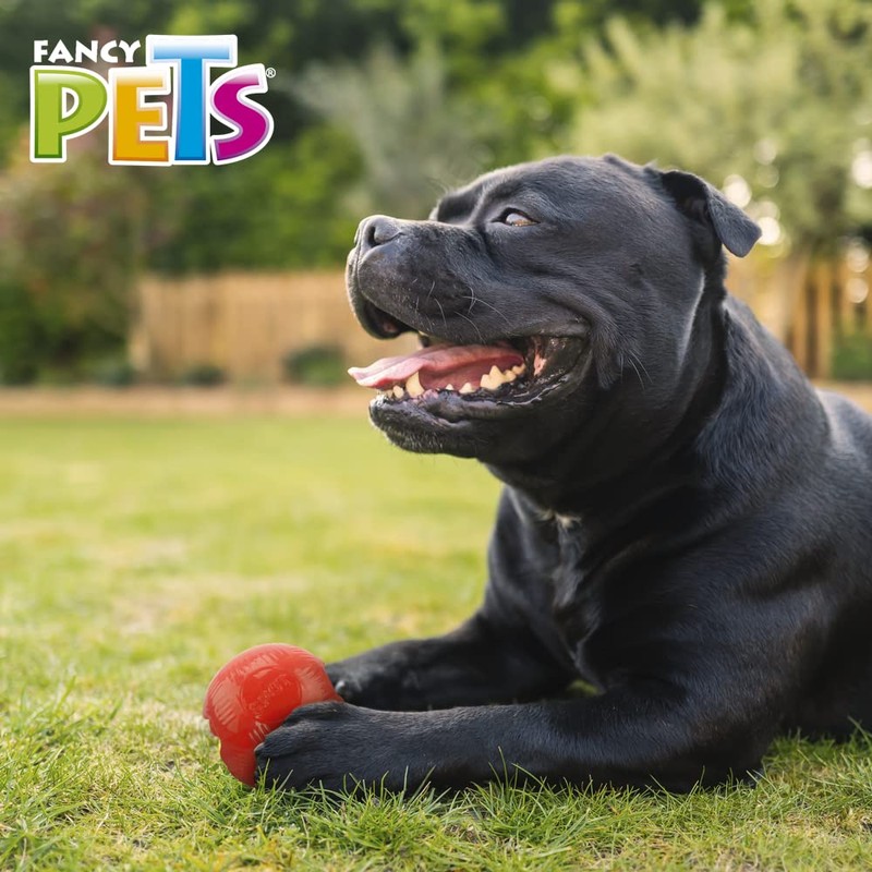 Fancy Pets Xtreme Juguete Bola para Perro Tamaño Mediana