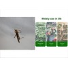 More Sizes Fine mesh Vegetable Protection Net Butterfly for Plant