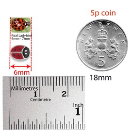 Sterling Silver Red Ladybird Earrings - SIZE: Tiny suitable for children- 6mm Enamel Ladybird Stud Earrings. Gift boxed 5582RED