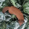 Vivid Arts - Prowling Fox Plant Pal - PLP-129