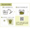 Katsuraya Fine Goods 1161300 Cordiol Dye for Cloth Dye, 0.4