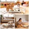 Cat Scratch Puzzle Enrichment Box, Large Solid Wood Construction Cat