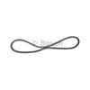 Bosch 1 987 947 644 V-Belt