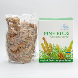 PINE BUDS,PINUS SILVESTRIS | Original Herbs Herbal Tea – Wild Crafted Herbs Tea – 50g
