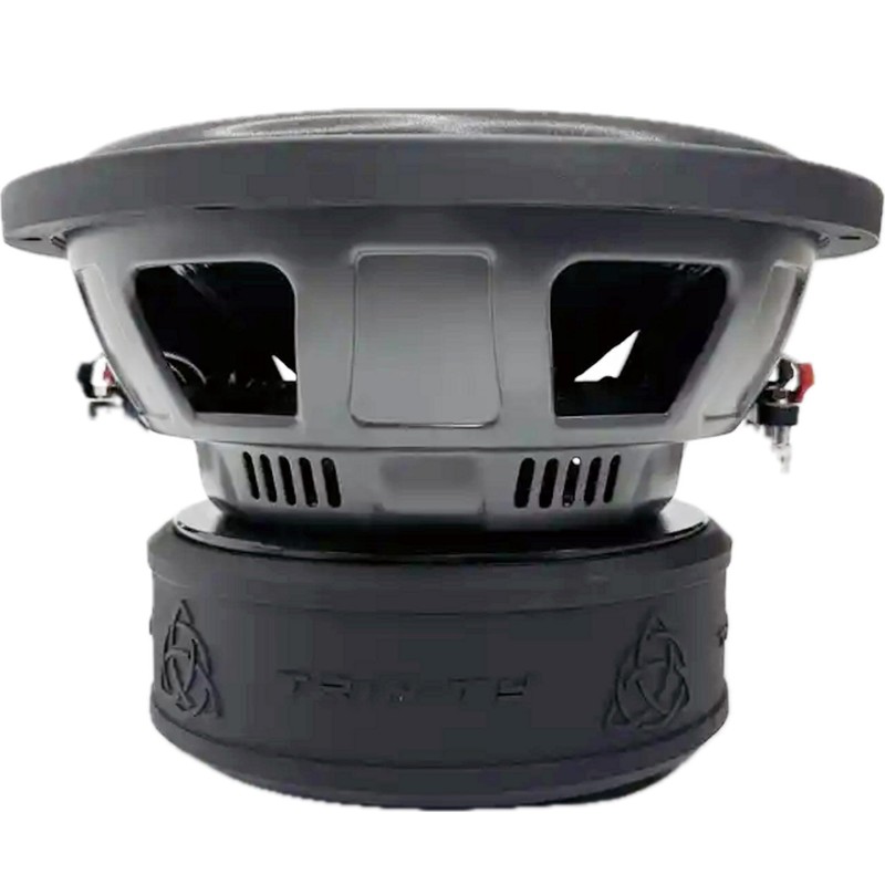 Trinity Audio TAS-E10D2 10" 2400W Dual 2-Ohm Subwoofer