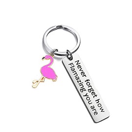 Caiyao Motivational Stainless Steel Flamingo Engraved Never Forget How Flamazing You Are Keychain Polished Bird Animal Keyring for Women Men Friend Friendship Jewelry Birthday Gift-D red