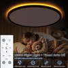 19 Inch Flush Mount Ceiling Light with Night Light, 45W
