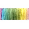2 Skeins Rainbow Soft Yarn 100% Wool Gradient Multi Color