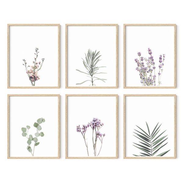 HAUS AND HUES Floral Prints and Plant Posters Set of 6 Botanical Prints Wall Art & Floral Wall Art, Wildflower Wall Art Plant Wall Art Minimalistic Wall Art Plant Set (8"x10", UNFRAMED)