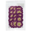 Fukusan Pressed Flower Pack Wild Rose Fuk-1021 Red Purple (Front