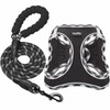 haapaw Dog Harness and Lead Set, No Pull Adjustable Reflective