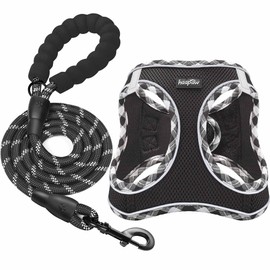 haapaw Dog Harness and Lead Set, No Pull Adjustable Reflective Step-in Puppy Harness with Thickened Padded Vest for Extra-Small/Small Medium Dogs