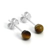 925 Sterling Silver & 4 mm Tiger's Eye Stone Stud