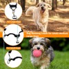 AIMALL Versatile Waist Dog Leash Set with Reflective Straps for