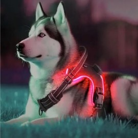 Dog Harness Led Light Pet Adjustable Dog Harness Safety Harness Small Medium Large Dogs Rechargeable Led Lights Night Running No Pull Harness Tactical Service Water Resistant (Red, Large)
