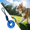 Squeaky Dog Toys,Spiky Ring Chewing Trainer | Interactive Toy with