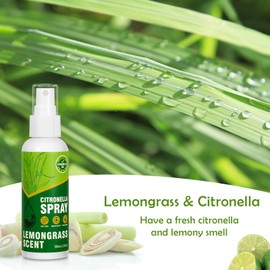 SCENTORINI Natural Citronella Spray for Home, 6.76 oz (2 Pack), Air Freshener Spray for Home, DEET-Free, Plant-Based Essential Oil, for Outdoor, Camping, Hiking, Traveling